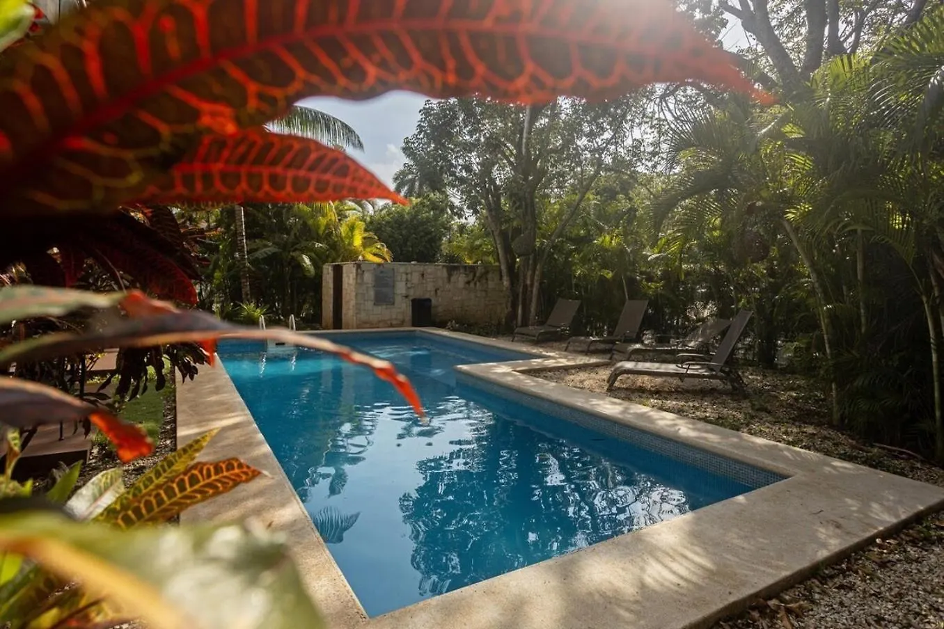 Playacar Master Suites, 2 Pools, Bbq, Beach 5 Min Playa del Carmen Apartment